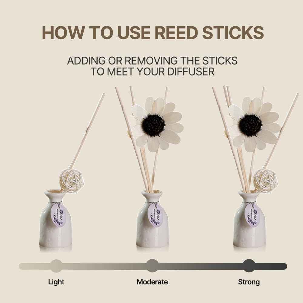 Ceramic Reed Diffuser Set