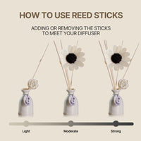 Ceramic Reed Diffuser Set