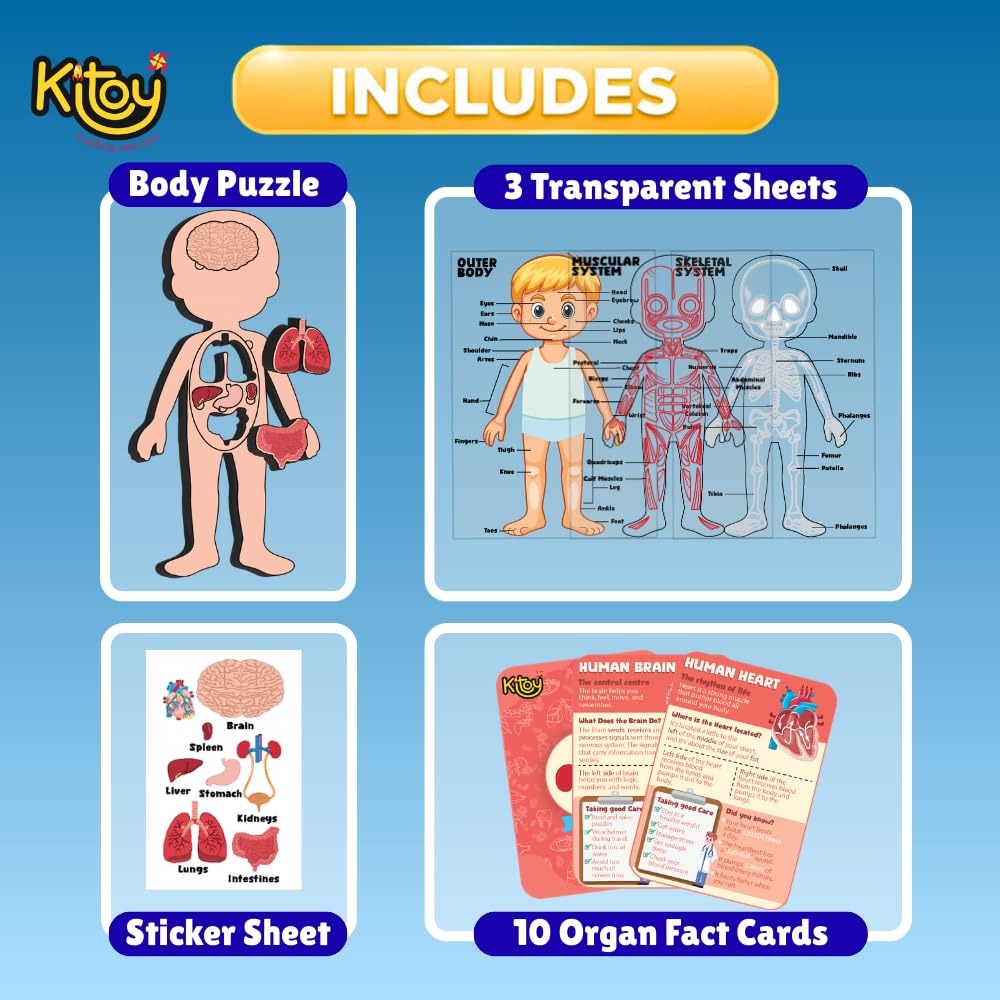 Human Body Parts Puzzle