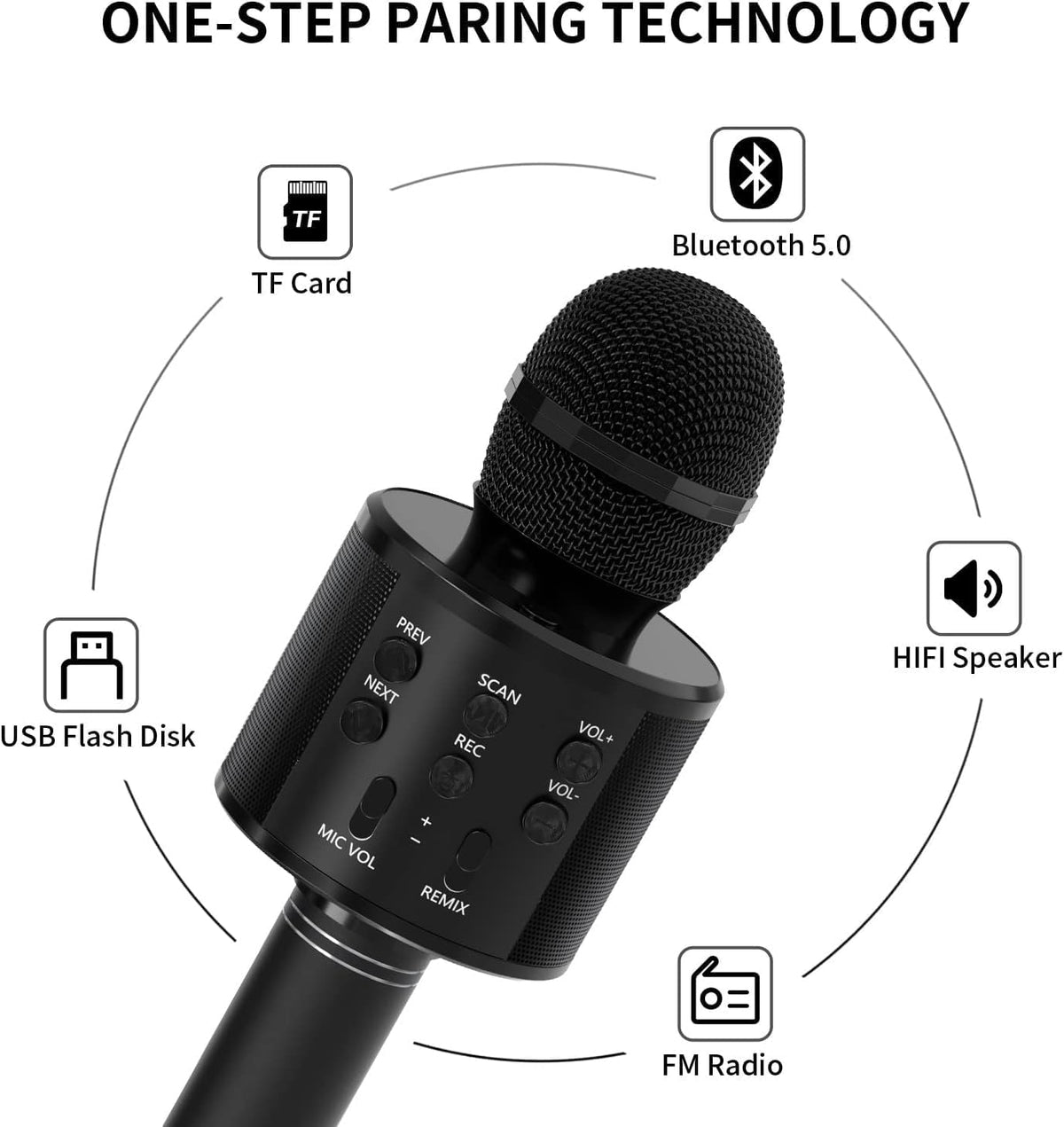 Karaoke Wireless Microphone