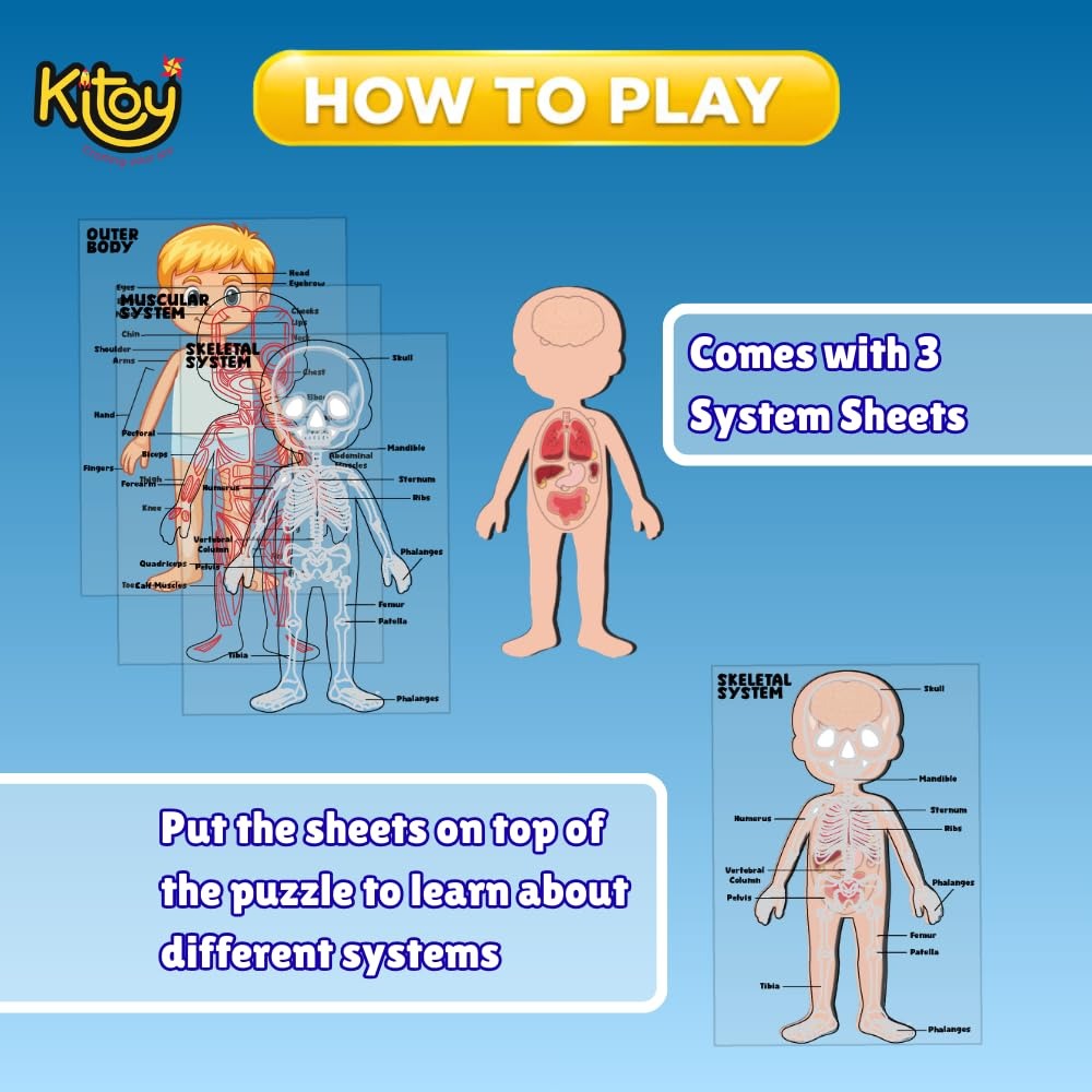Human Body Parts Puzzle