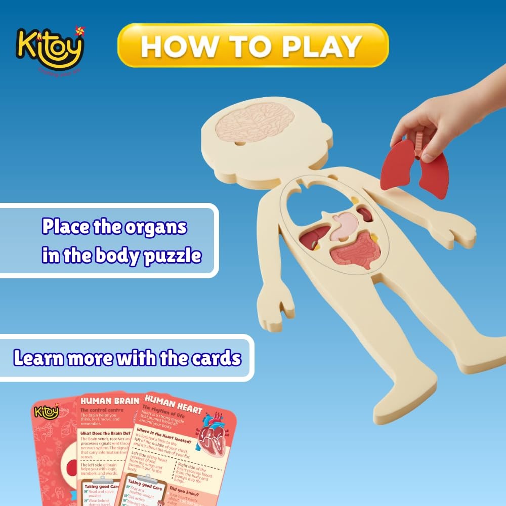Human Body Parts Puzzle