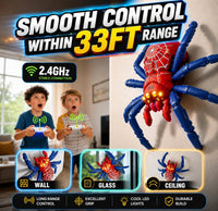 Wall Climbing RC Spider Toy