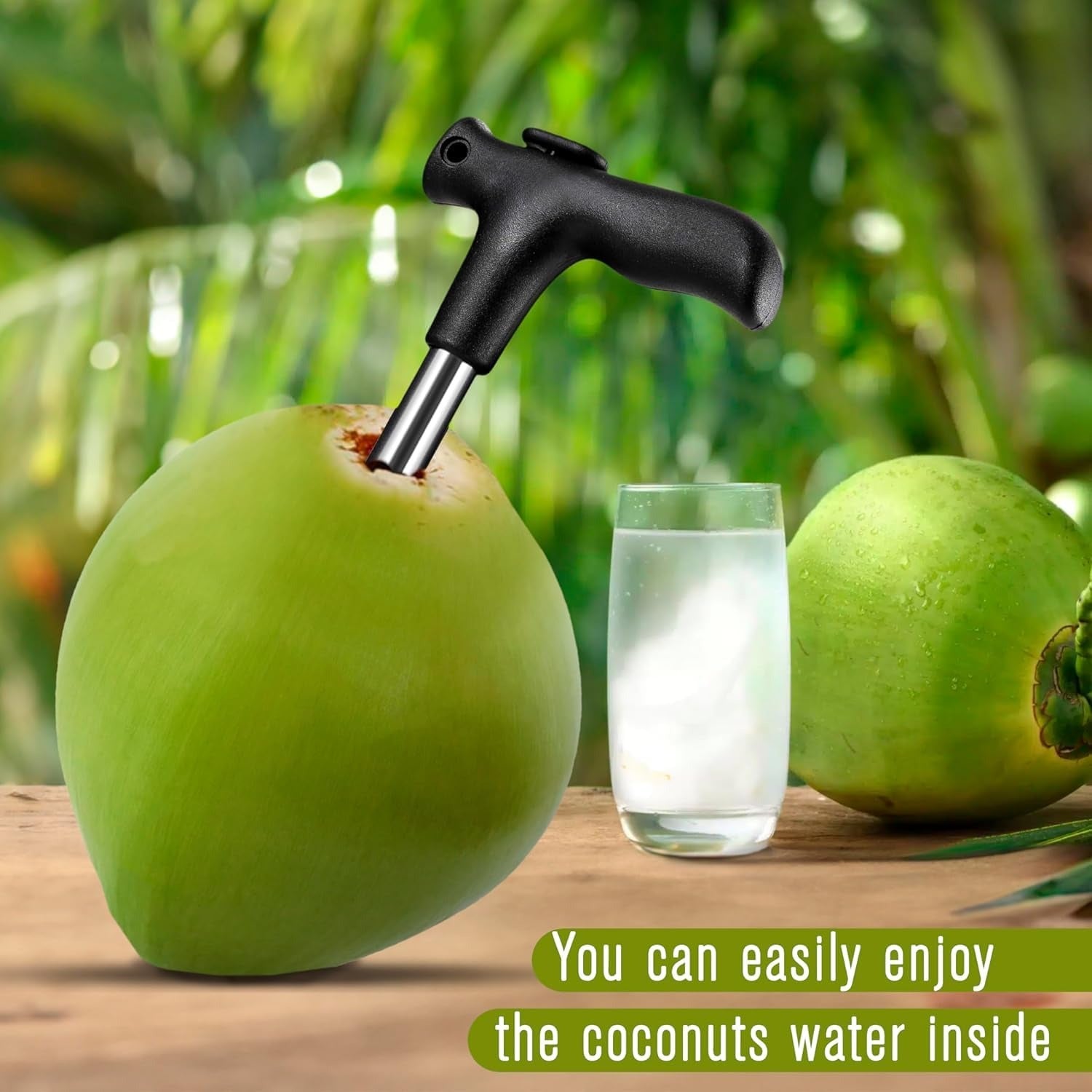 Stainless Steel Coconut Opener