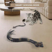 Remote Control Snake Toy for Kids