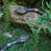Remote Control Snake Toy for Kids