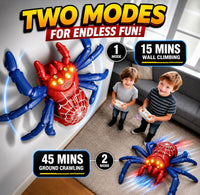 Wall Climbing RC Spider Toy