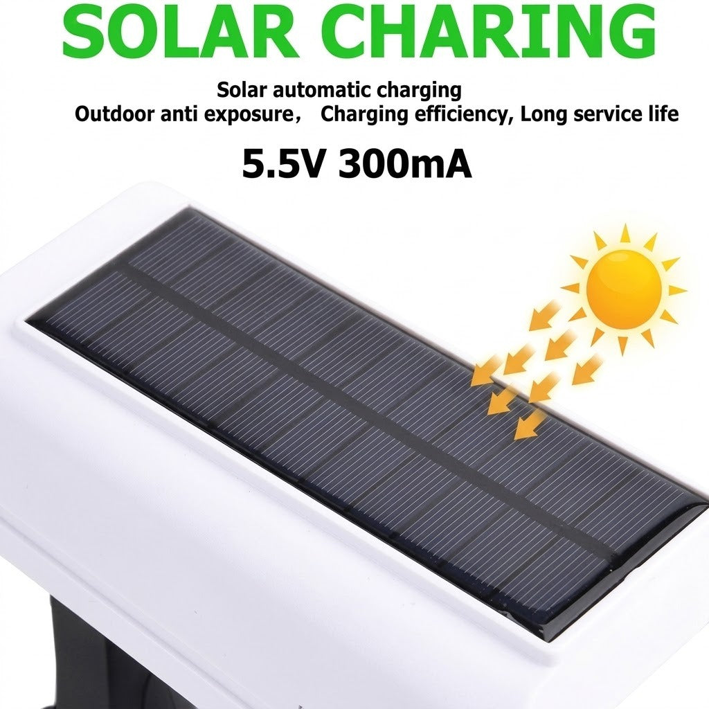 Solar Security Light