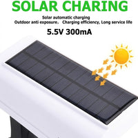Solar Security Light