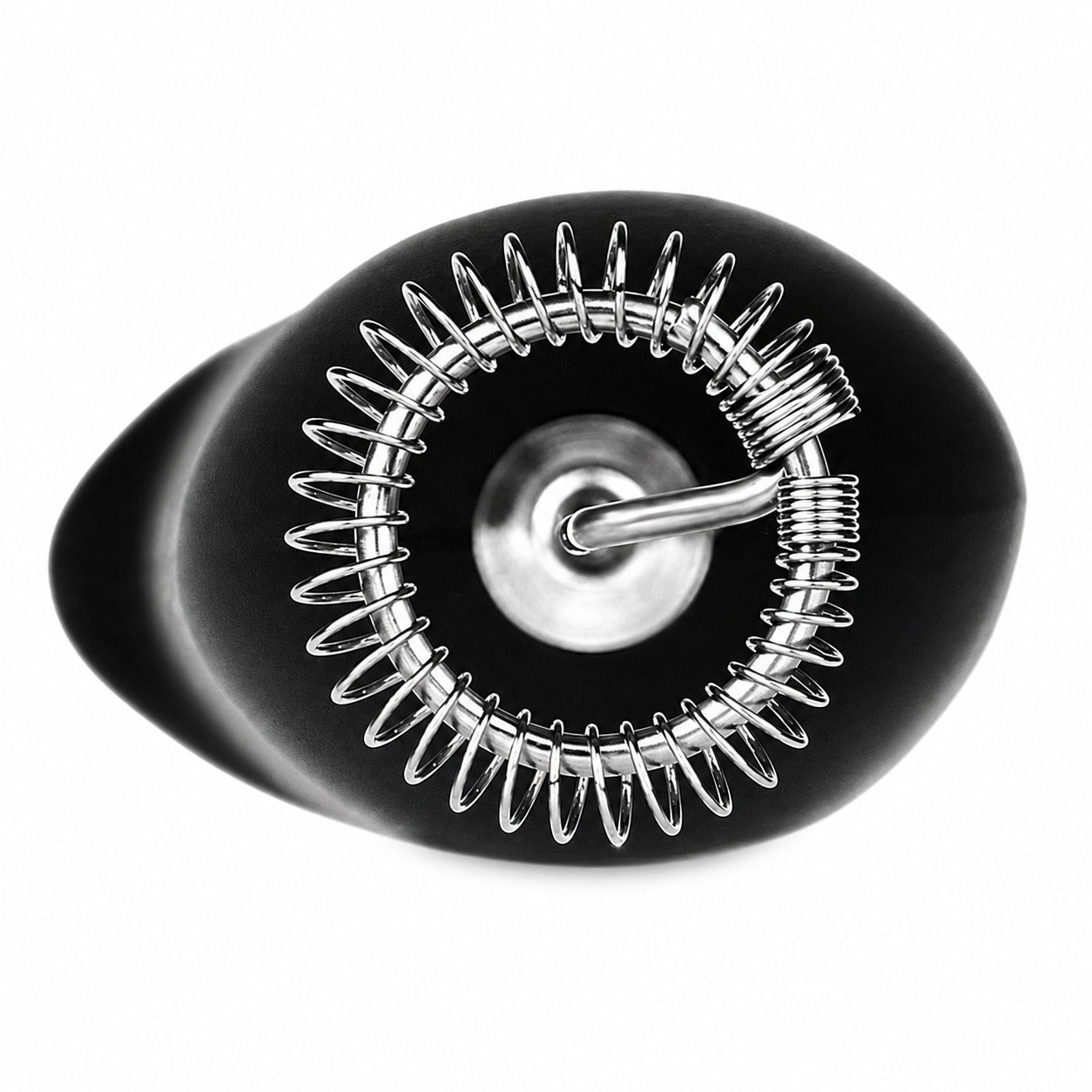 Electric Milk Frother Whisk