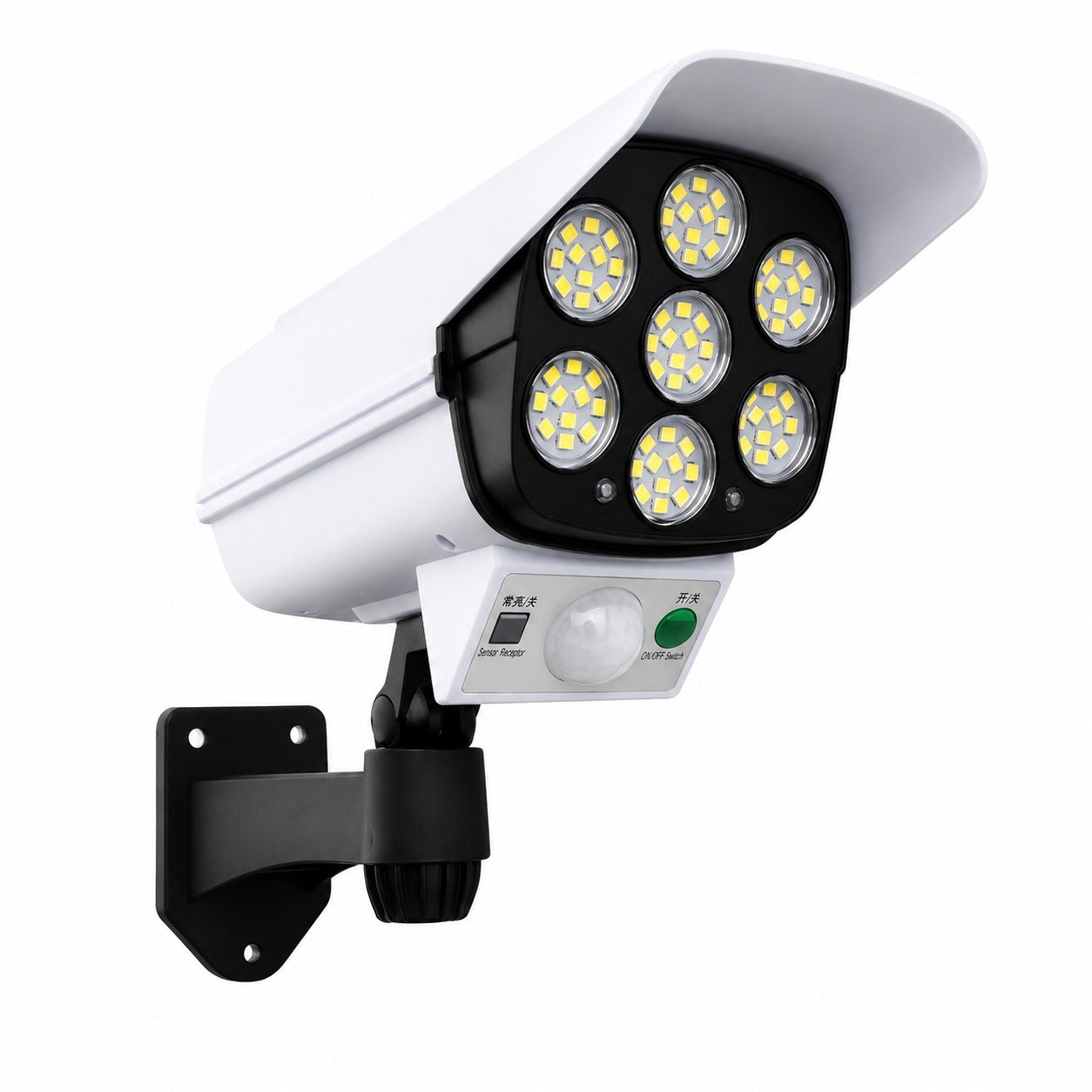 Solar Security Light