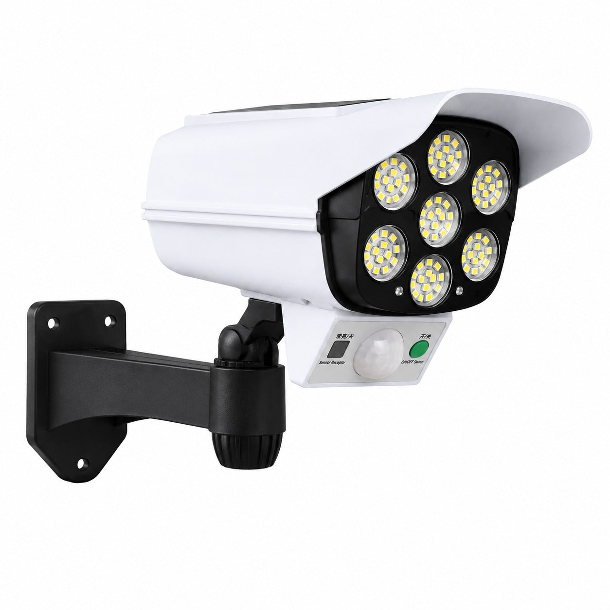 Solar Security Light