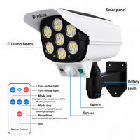 Solar Security Light