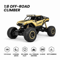 Off-Road Rock Crawler RC Car 4WD