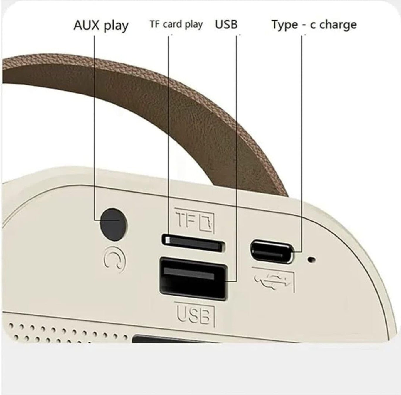 Portable Bluetooth Karaoke Speaker with Wireless Microphone