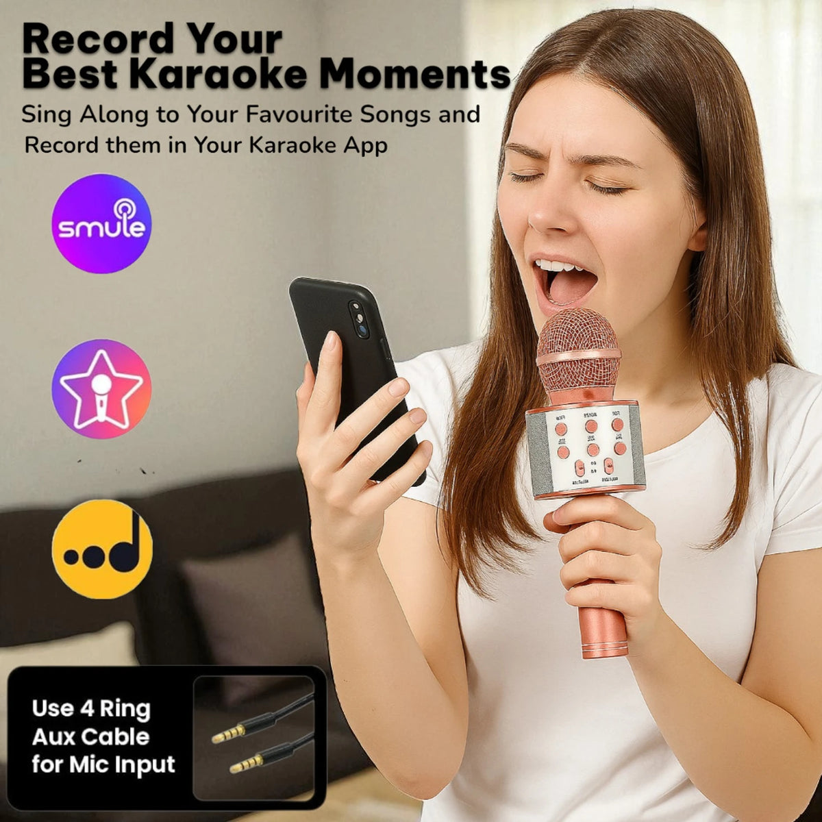 Karaoke Wireless Microphone