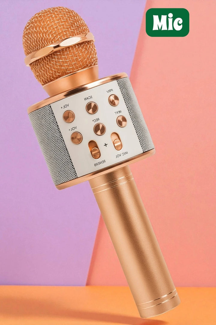 Karaoke Wireless Microphone